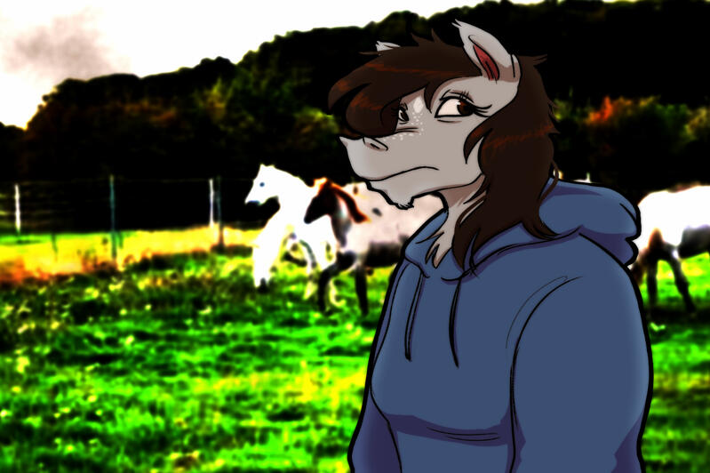 Horsegirl Alexi Horsegirl Alexi